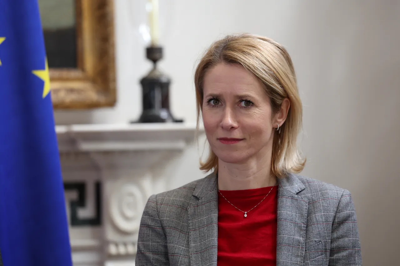 اتحادیه اروپا: کمک‌های بشردوستانه باید بدون انگیزه سیاسی به غزه برسد